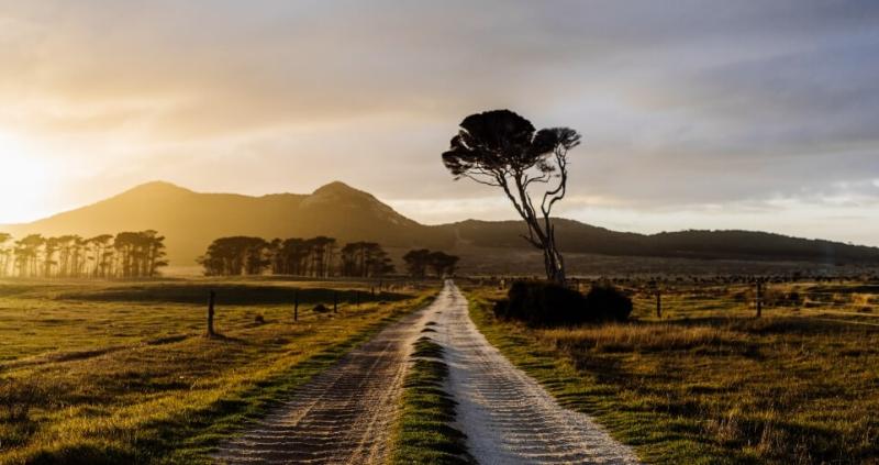 home king island 2